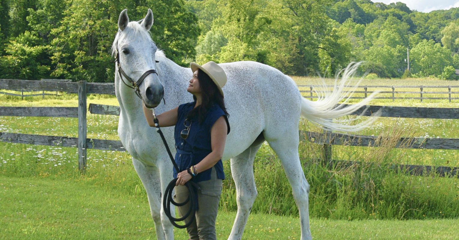 The Year of the Fire Horse: A Call to Adventure