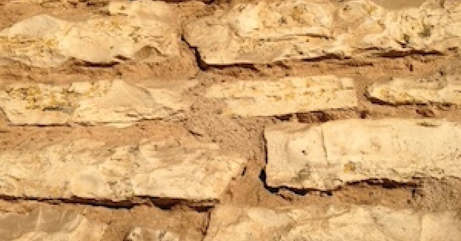 Can Any Good Come From Guilt?