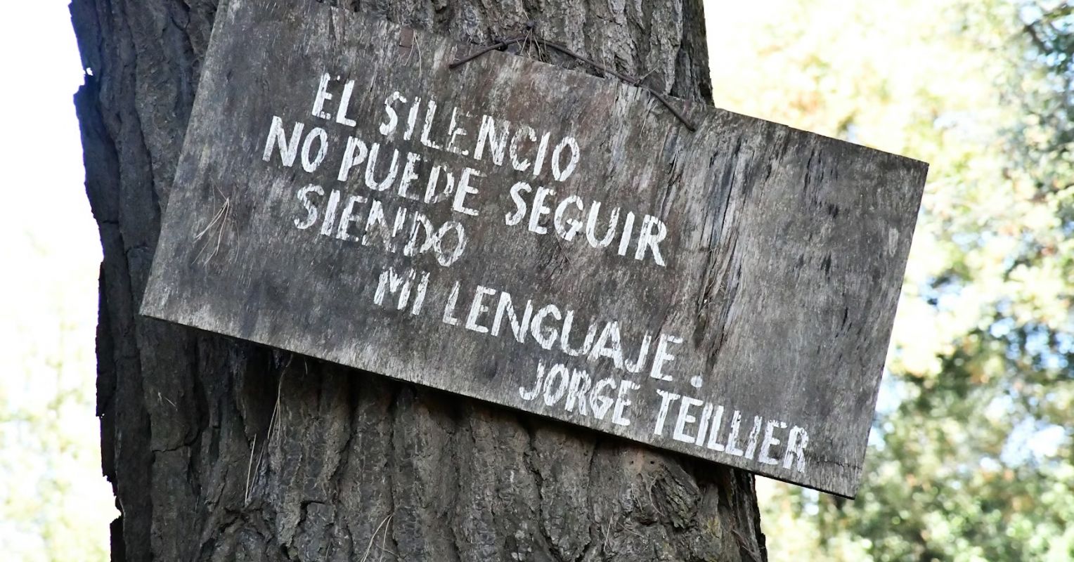 Fluent at Home, Silent at Work: Growing Up Bilingual