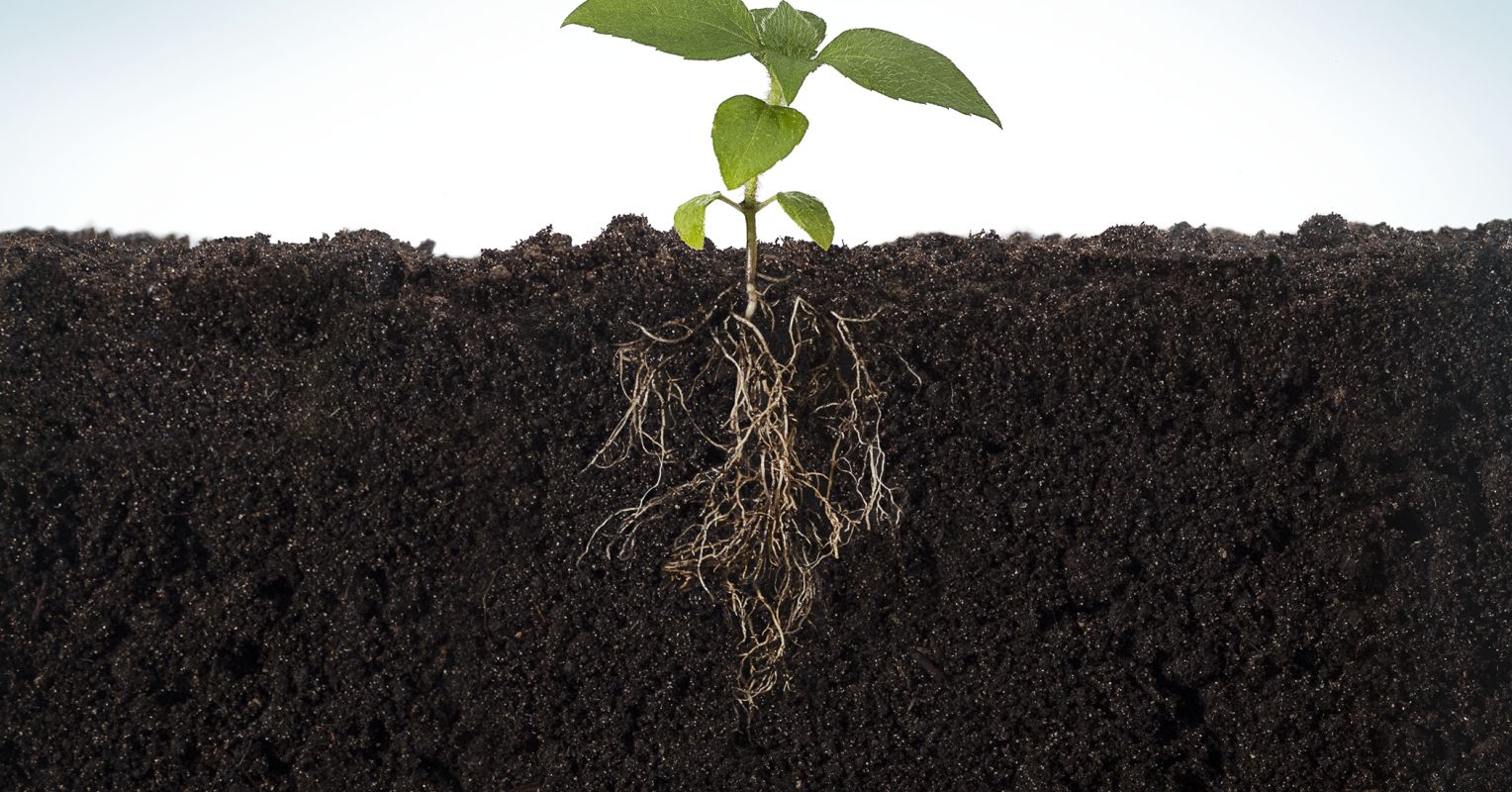 Get to the Root of Conflict with Radical Repair