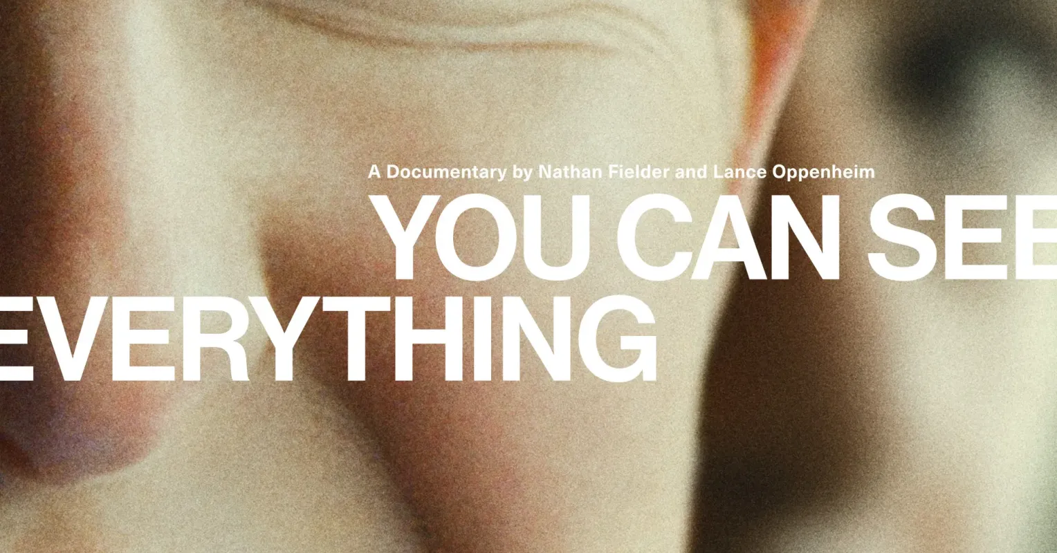 An Analysis of the Film "You Can See Everything"