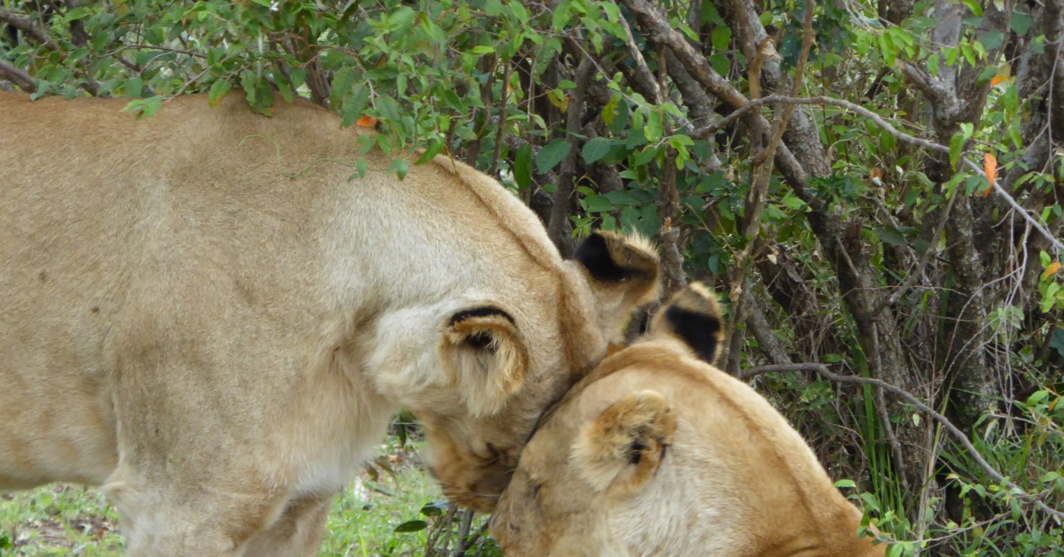 Emotional Generosity Psychology Today