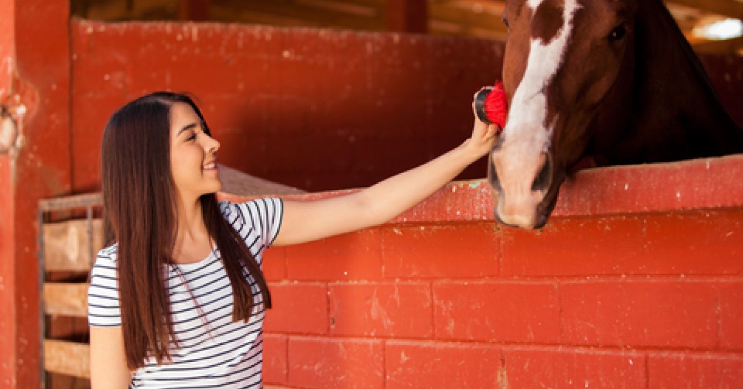 Children and Horses Equine Activities Improve Lives Psychology Today