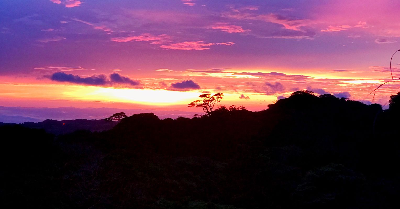 Zen and the Art of Awe Psychology Today Ireland