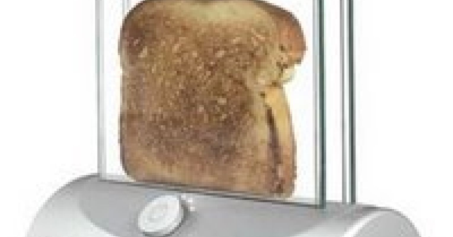 Toaster Brain Reaction Designing for the Human Brain | Psychology Today Canada