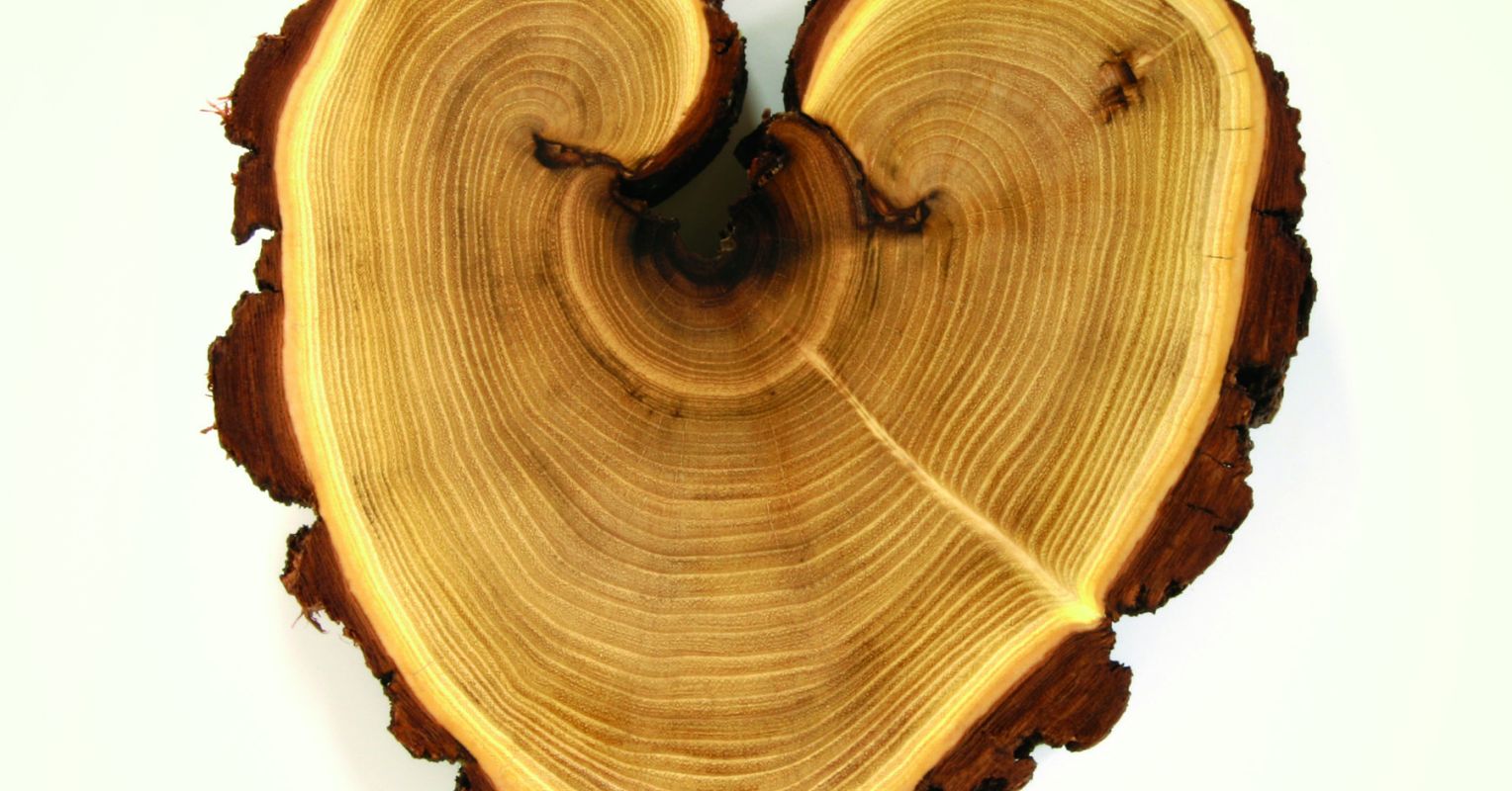 4 Ways to Manage the Fear of Running Into Your Ex Psychology Today