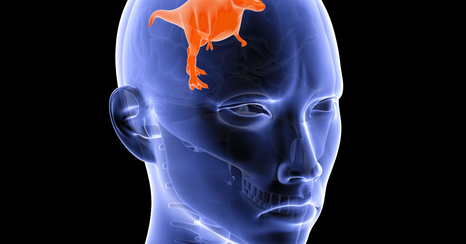 Vs brain brain reptilian mammalian Triune Brain: