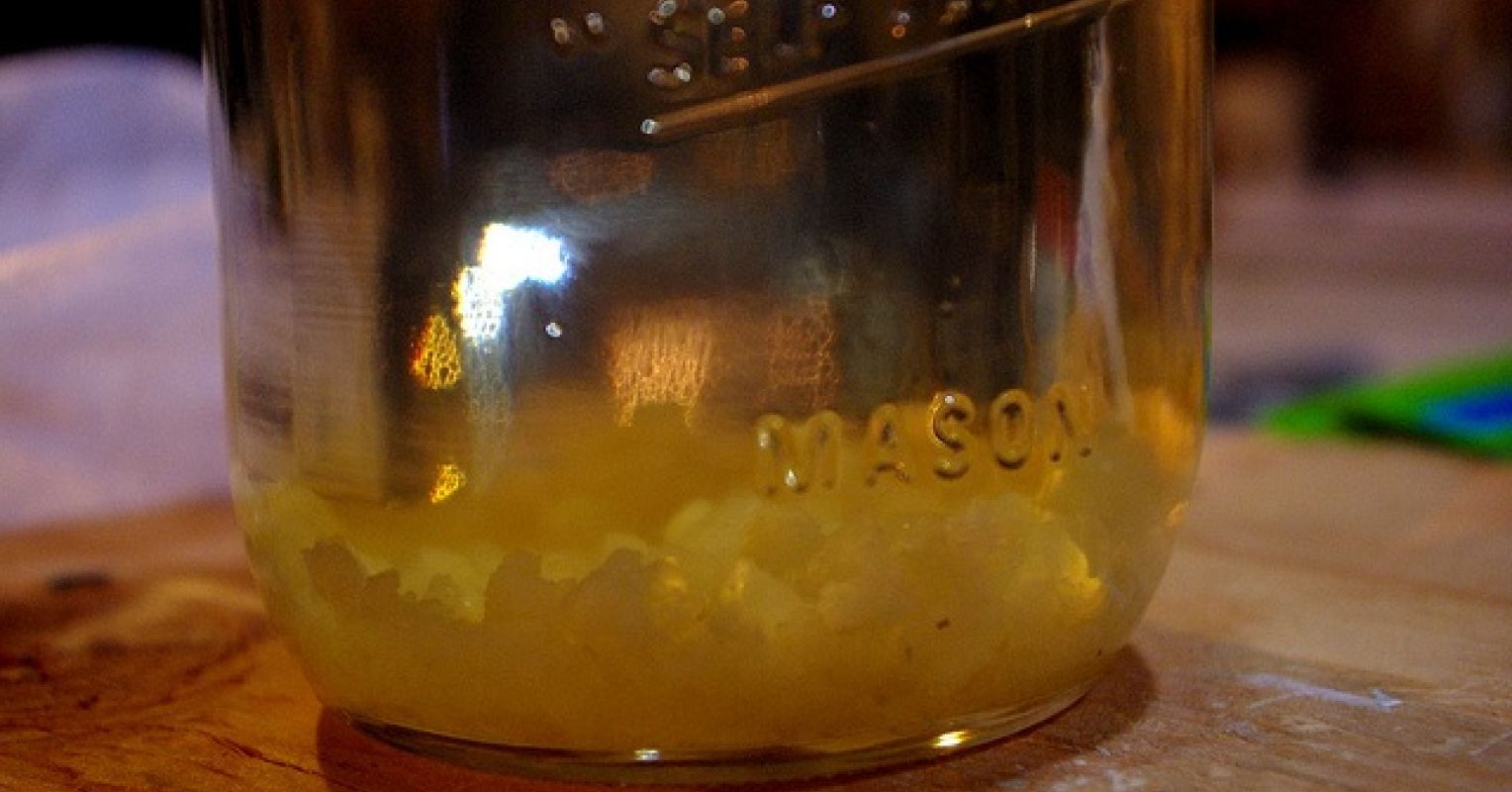 Will the Bacteria in Sauerkraut Make You Thin? Psychology Today