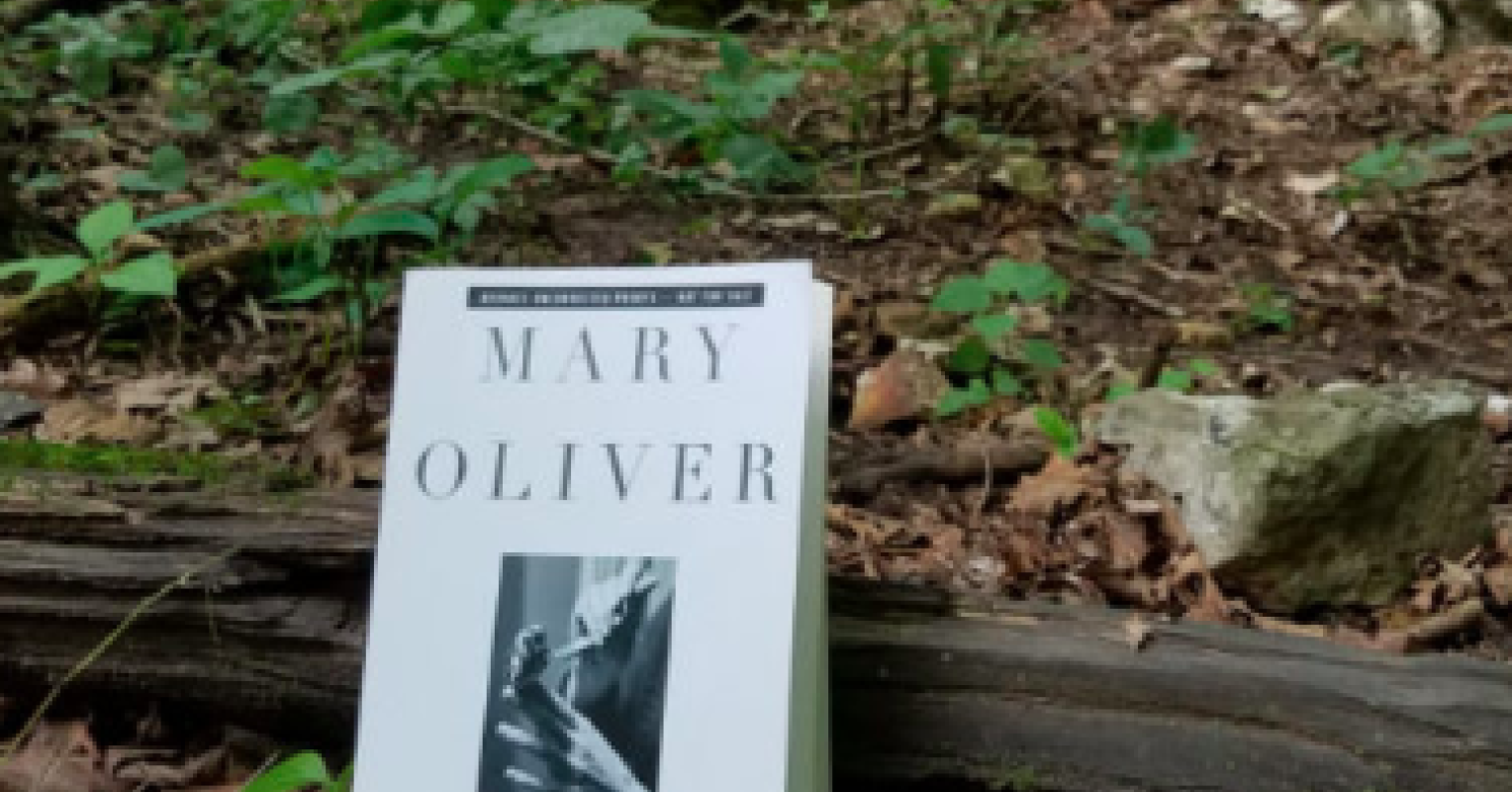 mary oliver on how to live your one wild and precious life psychology today singapore