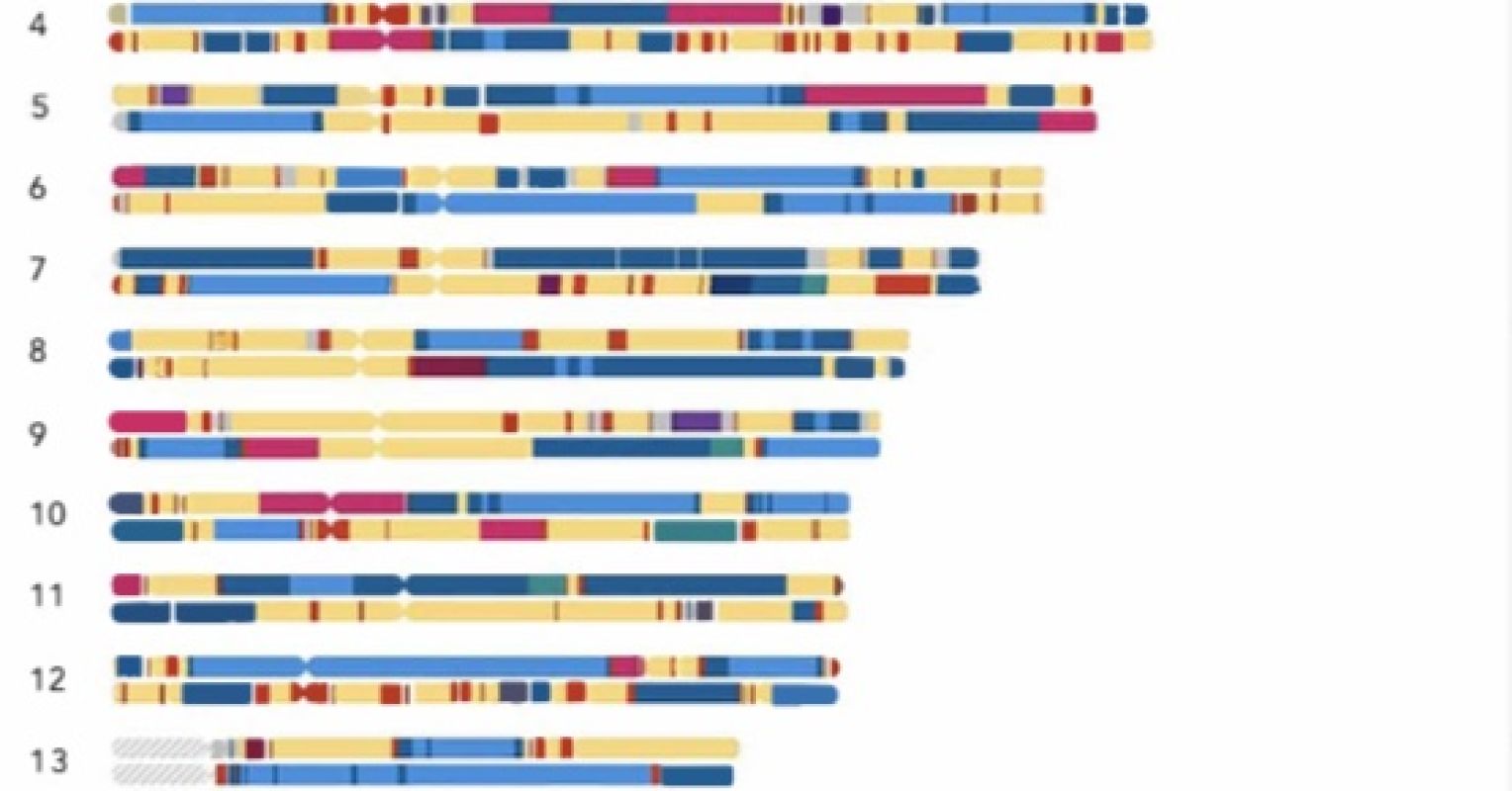 A New, True View of Race and Ethnicity Psychology Today United Kingdom