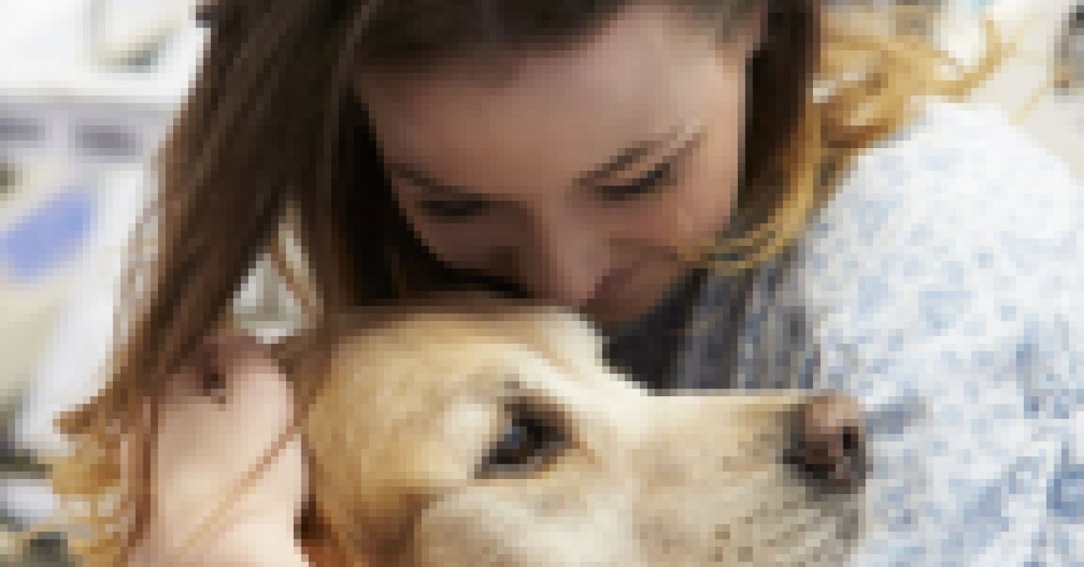 Do Therapy Dogs Belong in Hospital Emergency Rooms? | Psychology Today  Australia