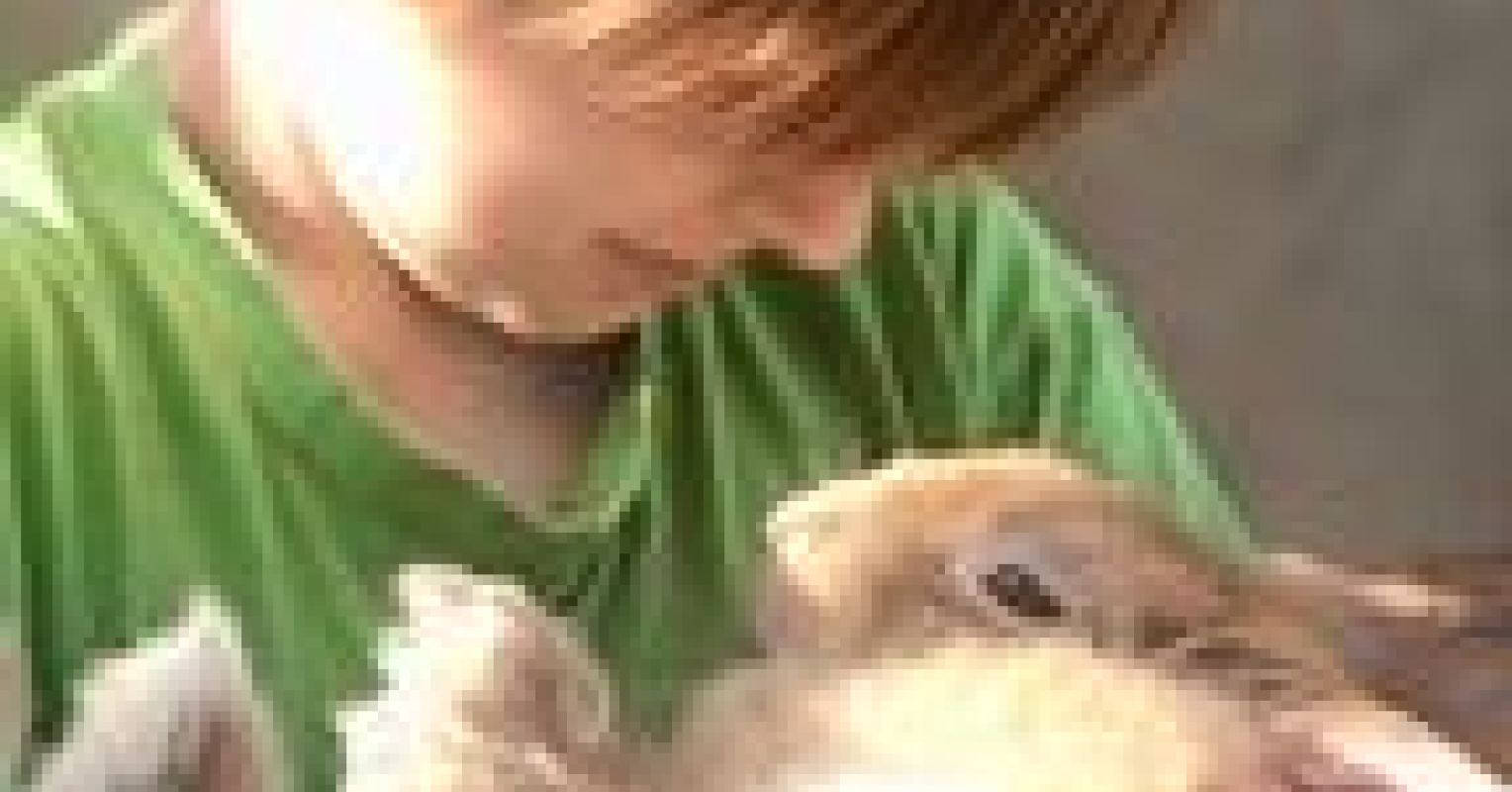 Is the Answer to All Our Stress and Illness More Kindness? | Psychology ...