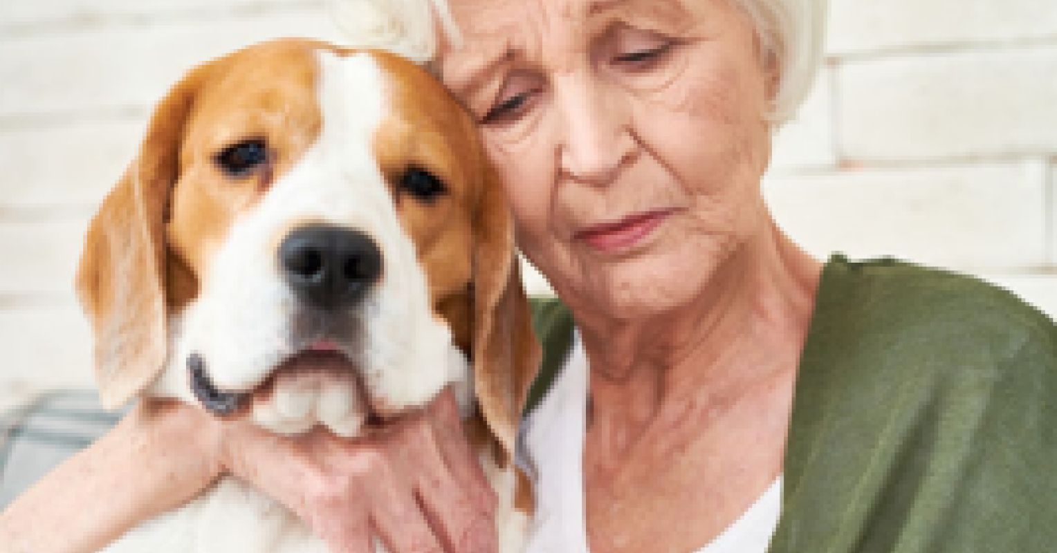 The Sad Truth About Pet Ownership and Depression | Psychology Today