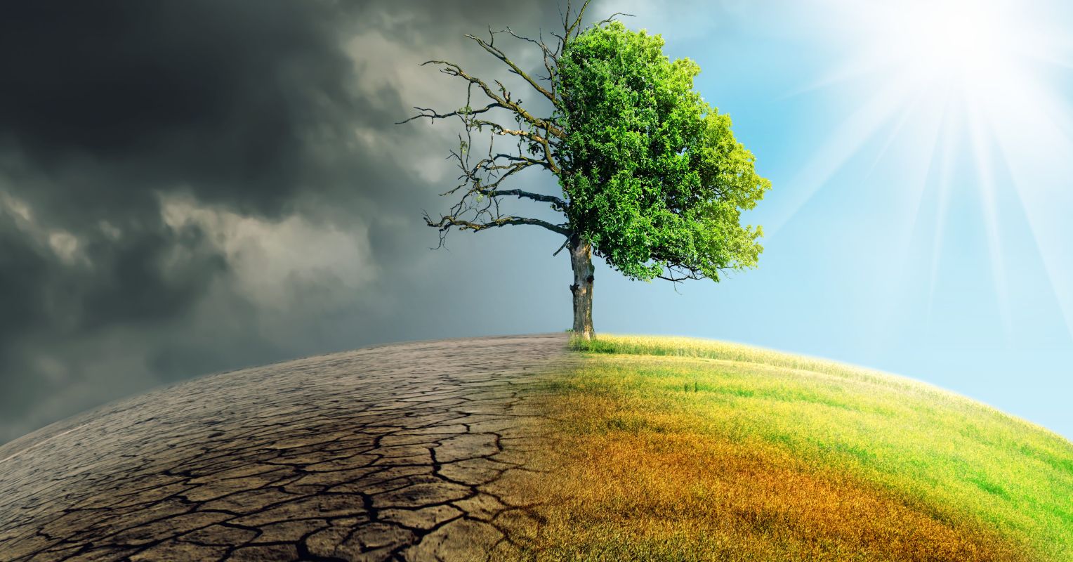 Climate Change Symptoms Versus Cures Psychology Today