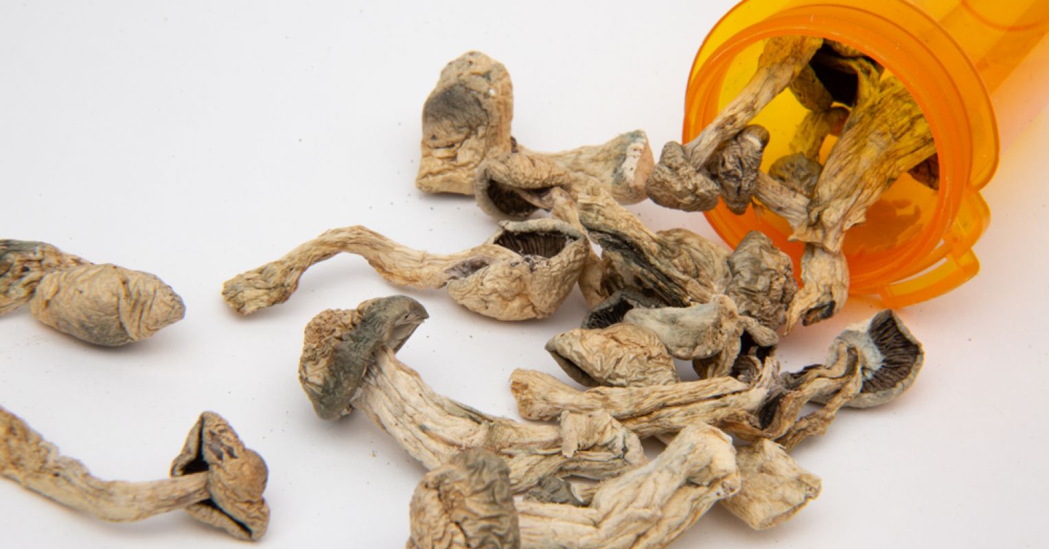 Understanding the Buzz About Magic Mushrooms | Psychology Today Canada