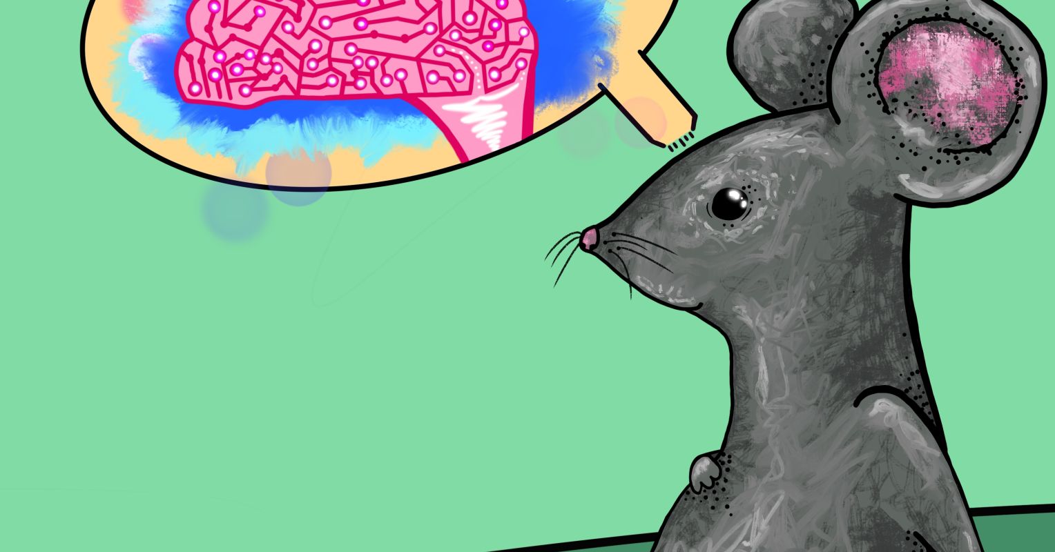 The Brain Bug Explained _ Brainbug Starship Troopers – UXGH