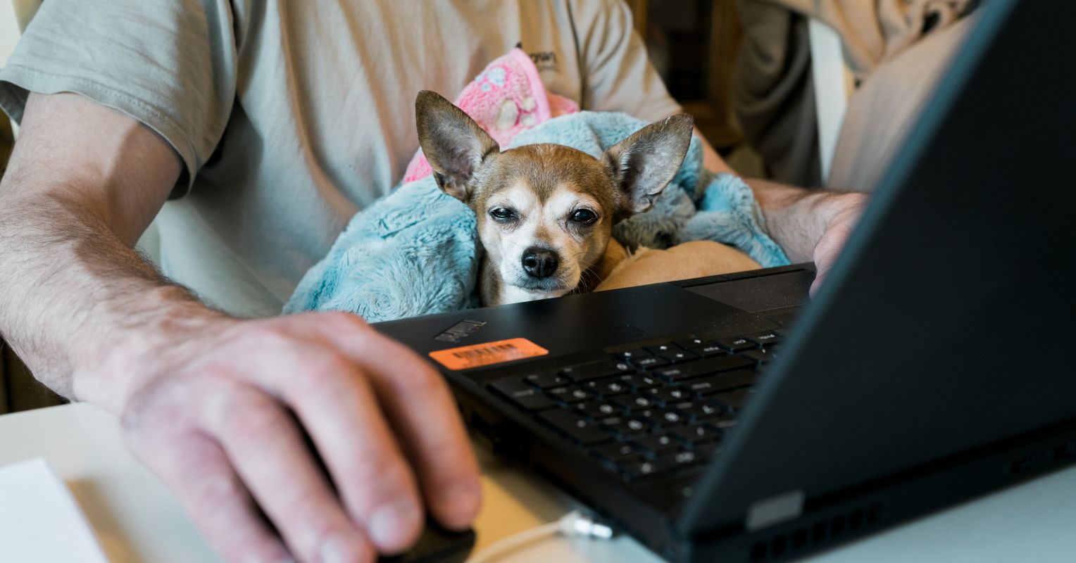 9 Productivity Tips When Remote Working Psychology Today