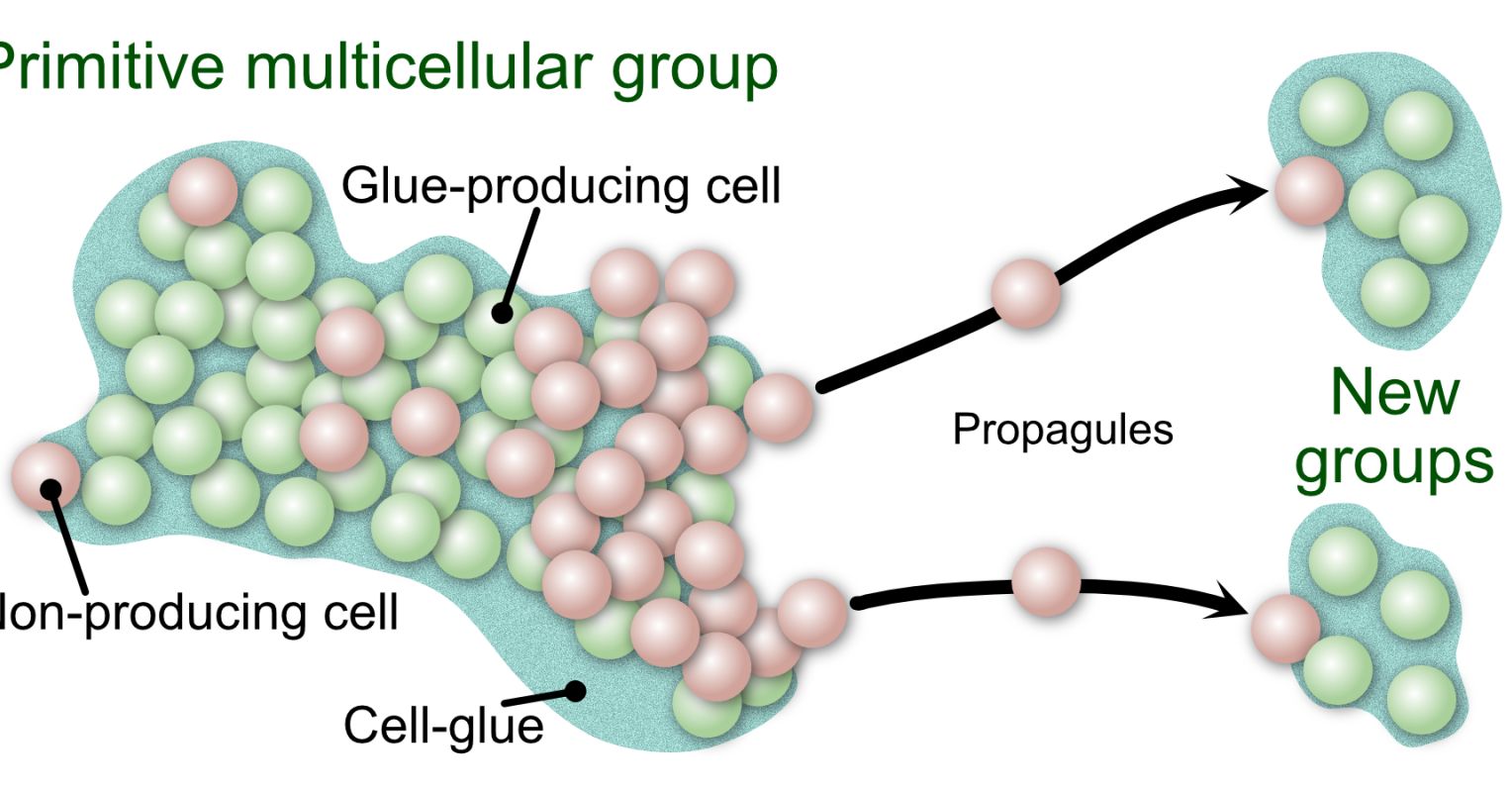 Cheating Done Right Psychology Today