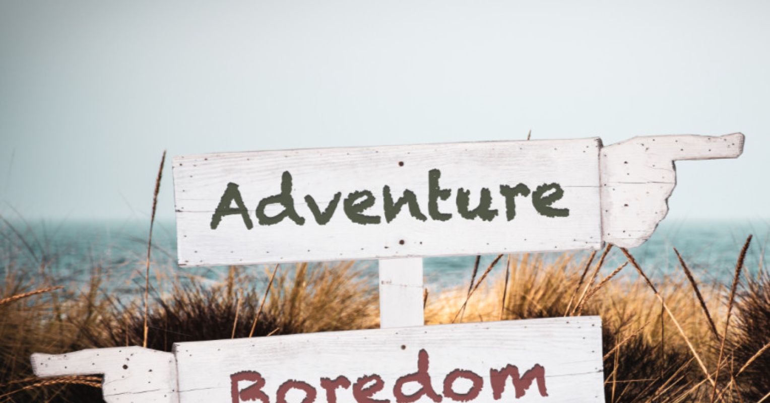 When the Novelty Wears Off Psychology Today