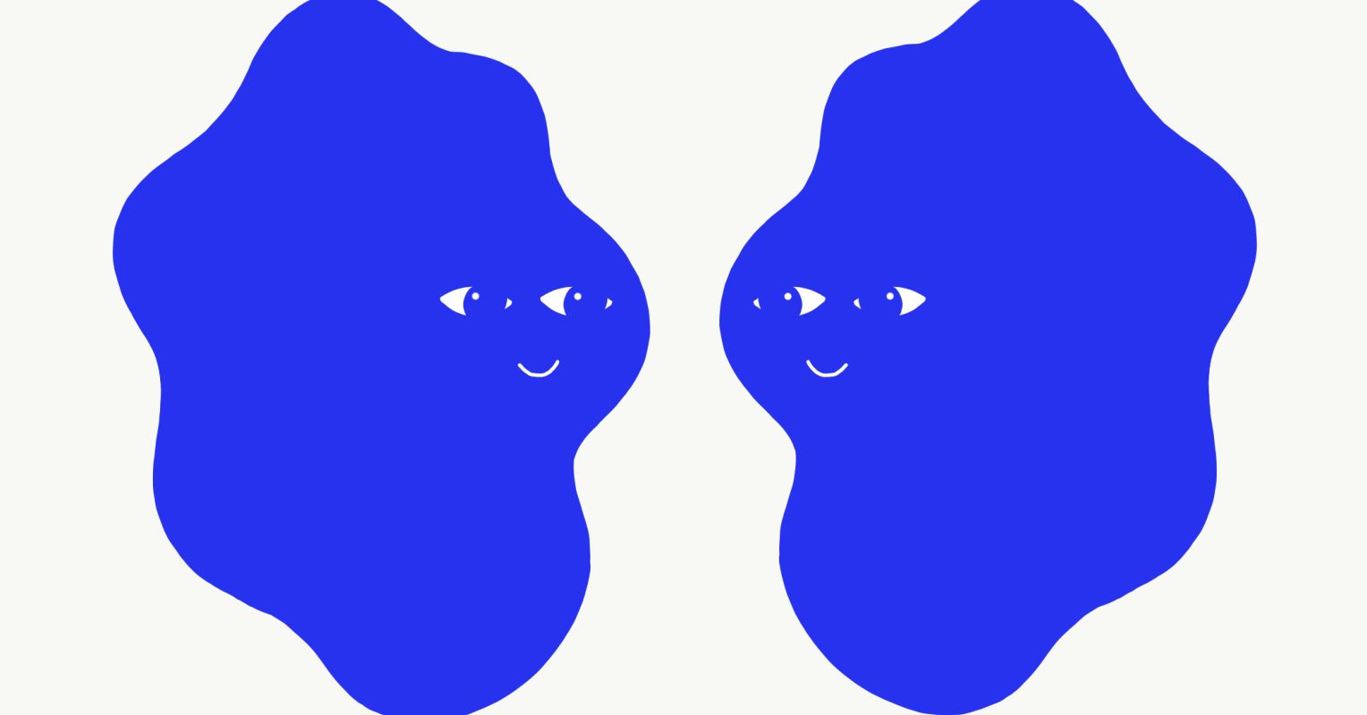 Informavore Doppelgangers: Your Phenomenal Duplicate