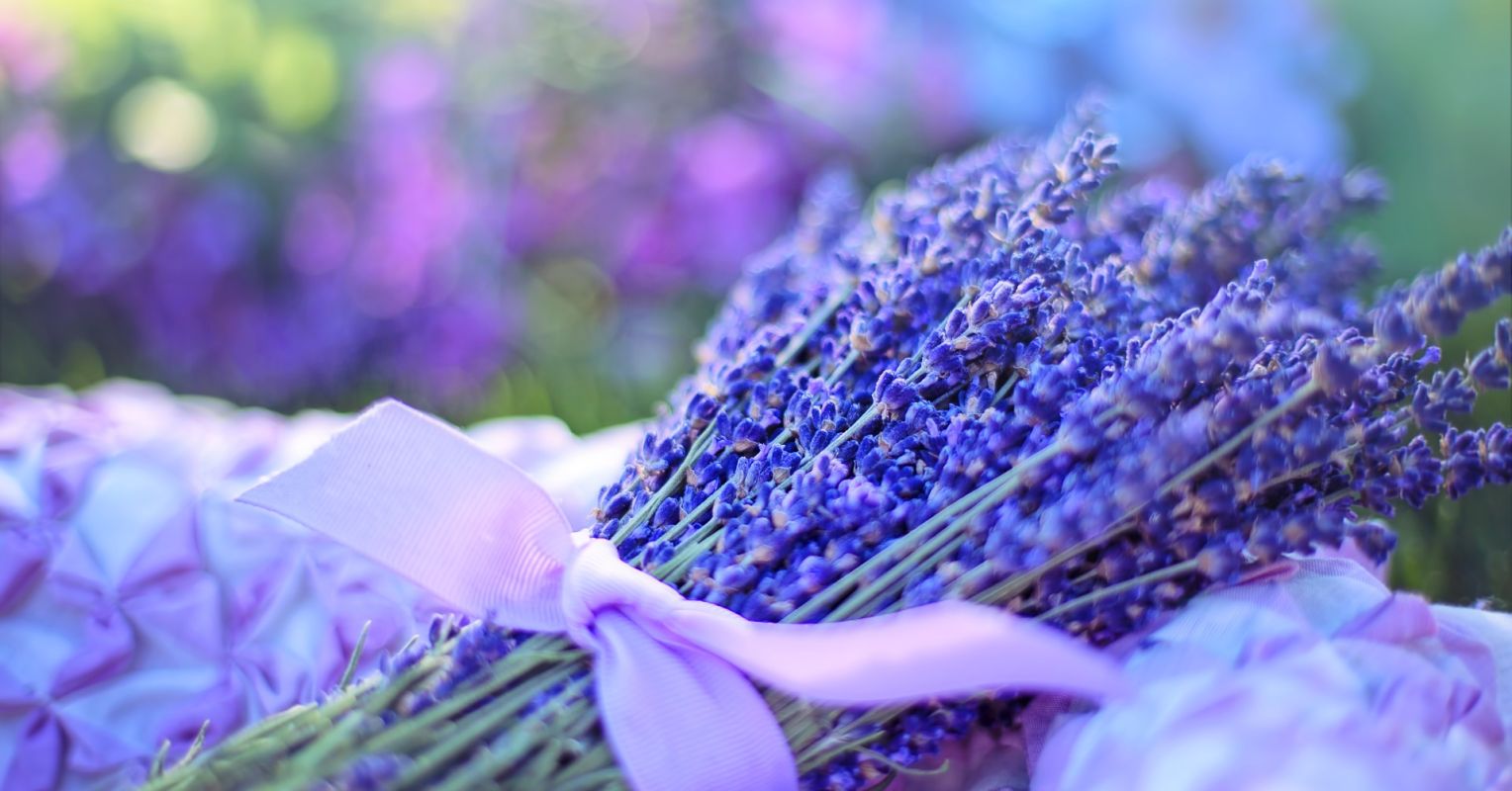 Everyday Aromatherapy for Enhancing Calm and Well-Being | Psychology Today - Renovate For Calm And Well Being