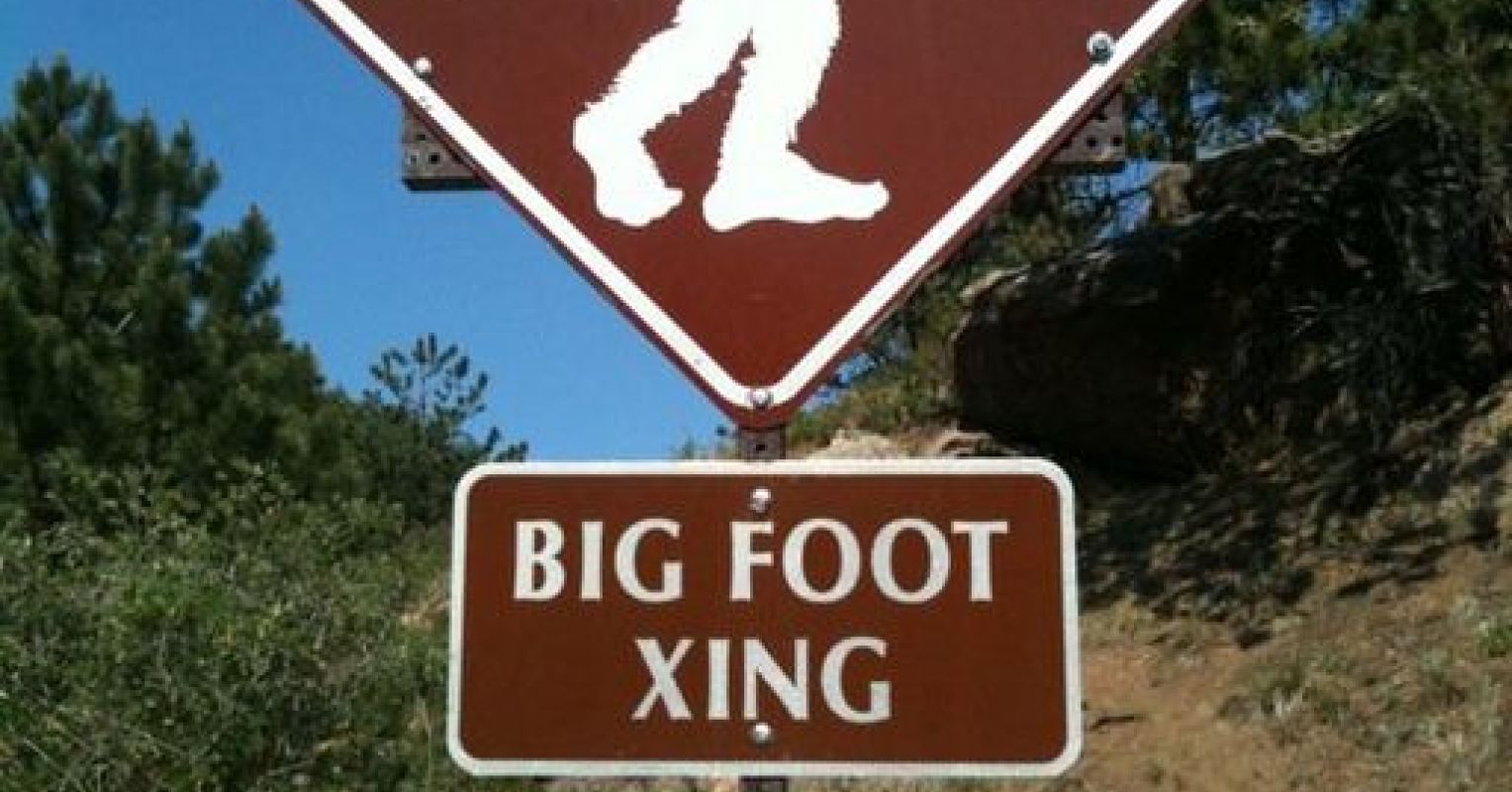 NTTV Exposes Shocking Truth Behind Everything You Think You See