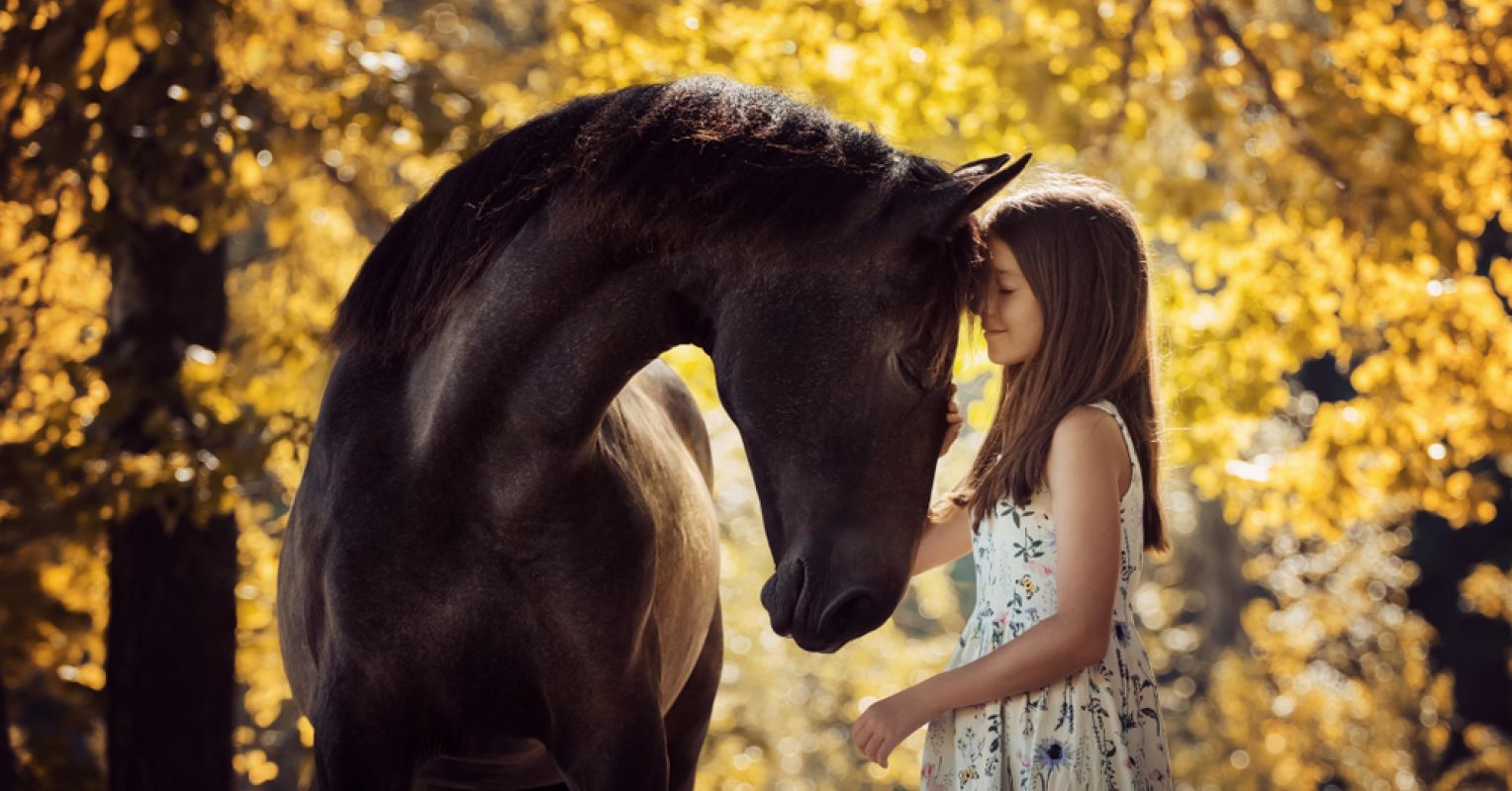 Why Some Girls and Women Love Horses So Much Psychology Today image