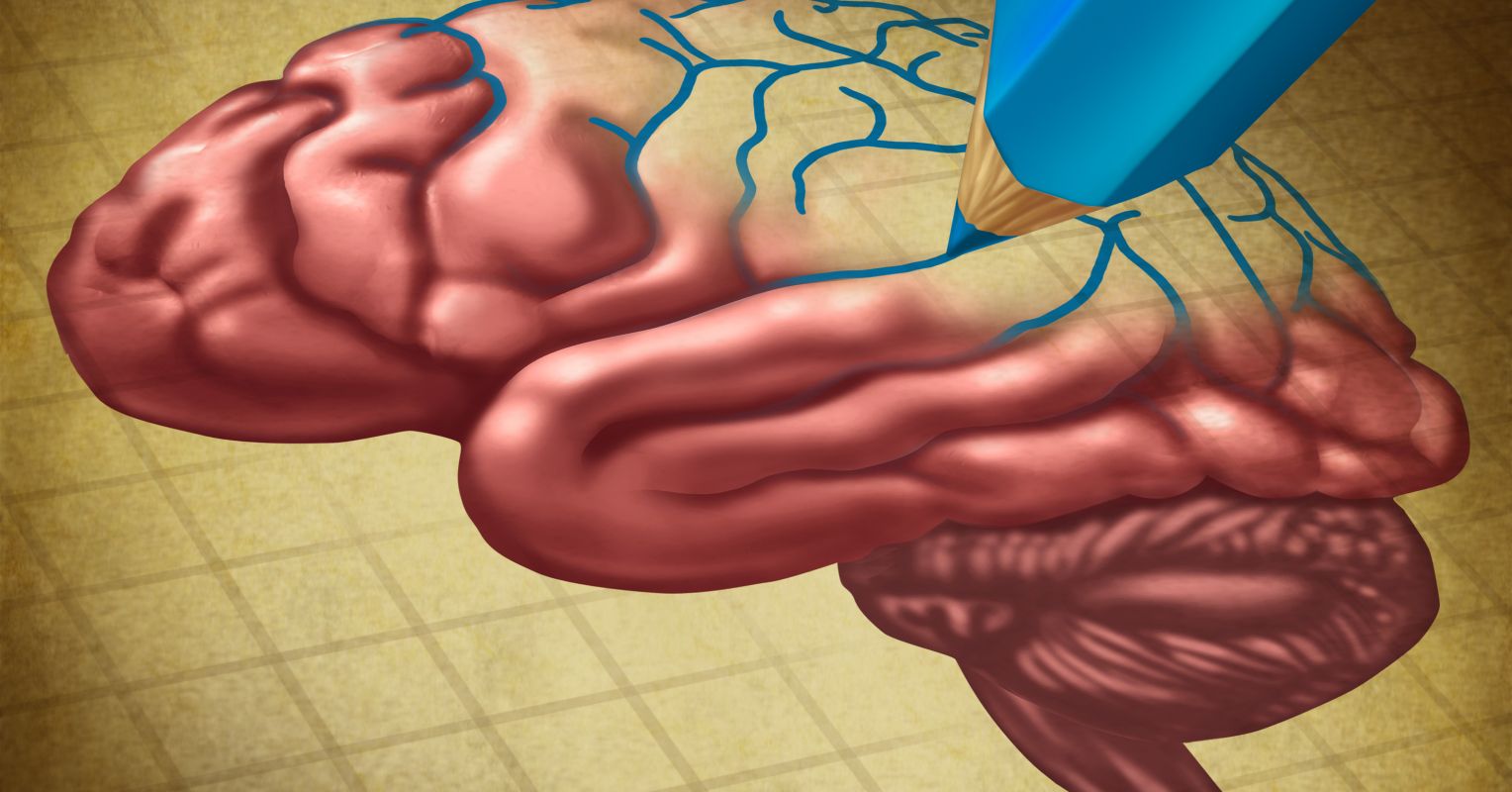 One Big Reason Most Brain Research Only Tells Half the Story ...