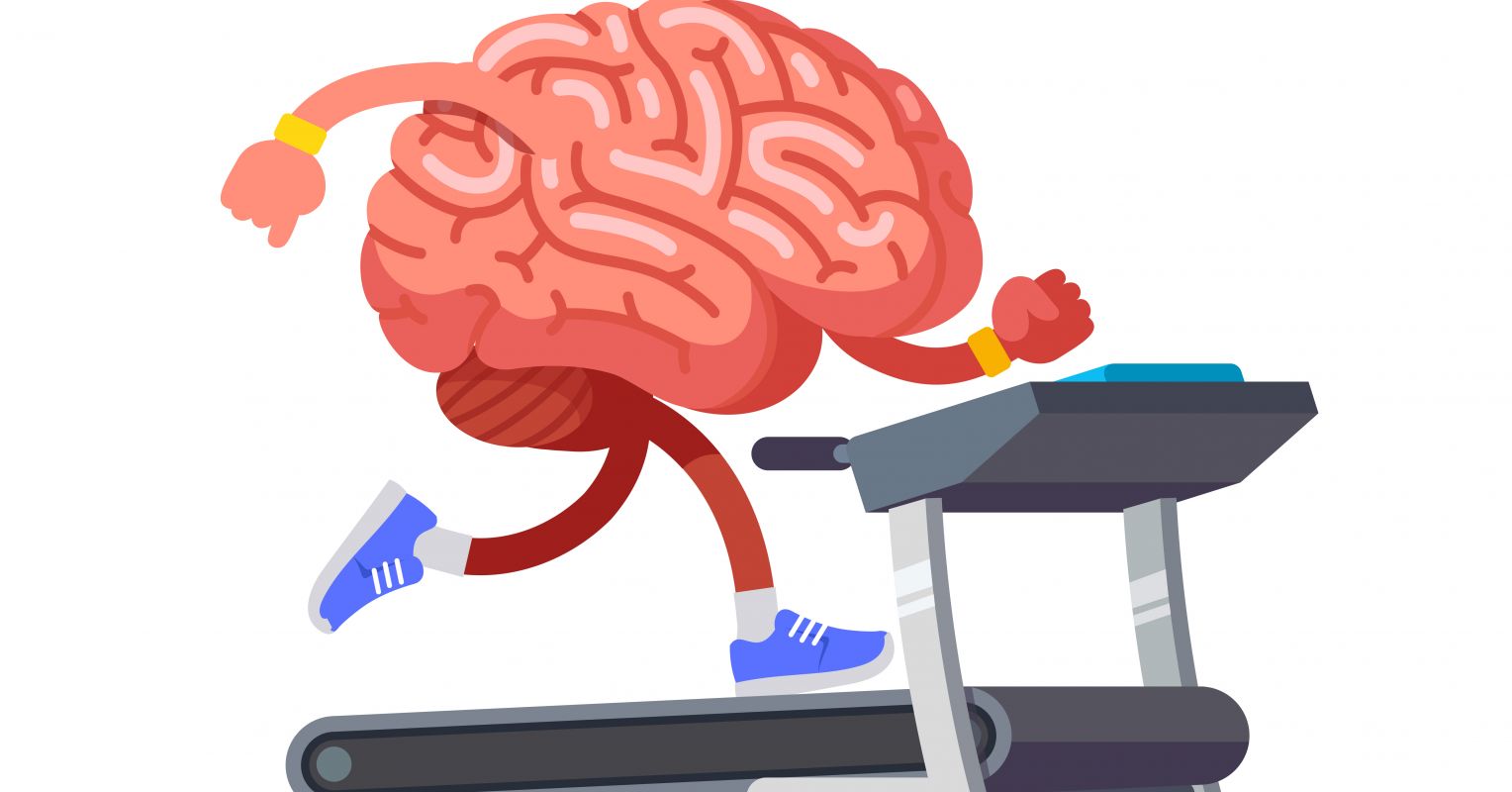 Cómo el ejercicio tiene un efecto en el cerebro : Oregon Health News Blog