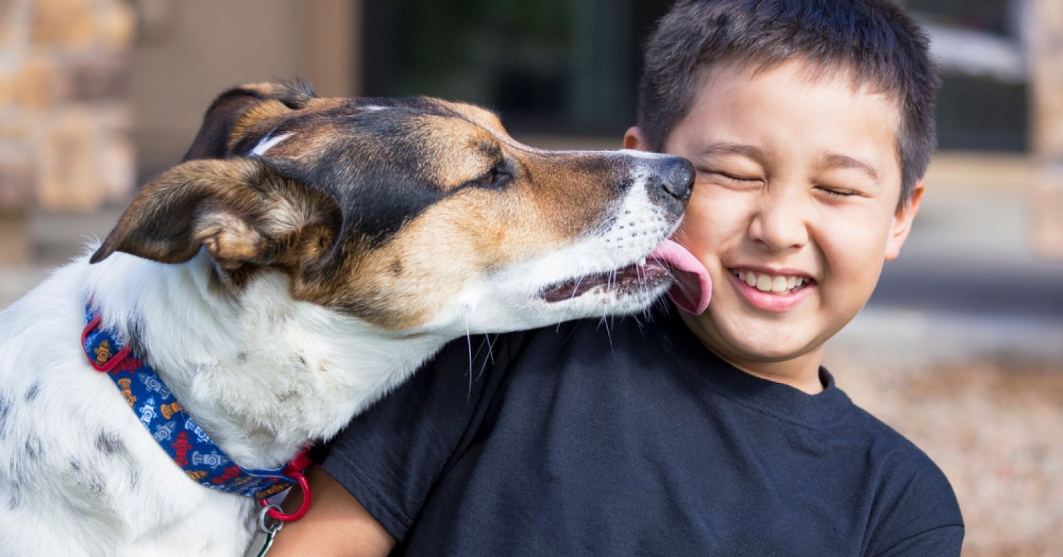 Why Dogs Like to Lick People | Psychology Today