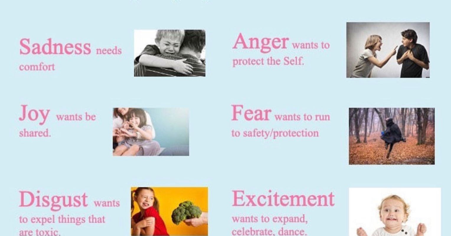 22 Important Things To Know About Emotions Psychology Today 22 Important Things To Know About Emotions Psychology Today