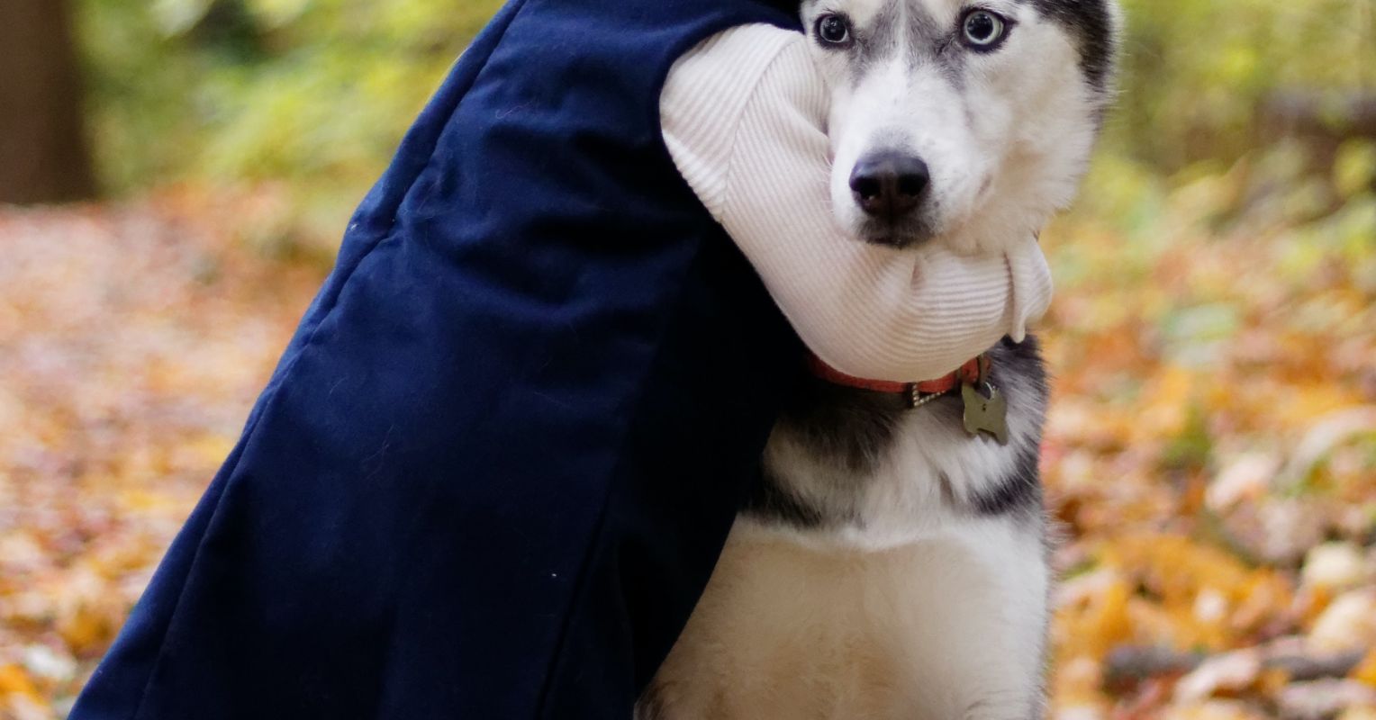 The Shocking Truth About Hugs Psychology Today United Kingdom