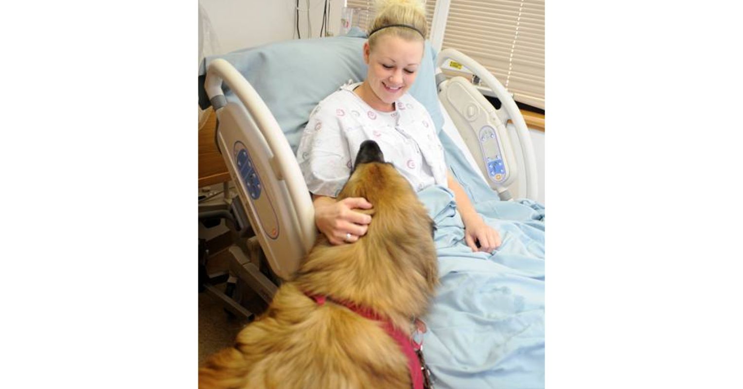 Can a Few Minutes With a Therapy Dog Help Relieve Pain? | Psychology Today