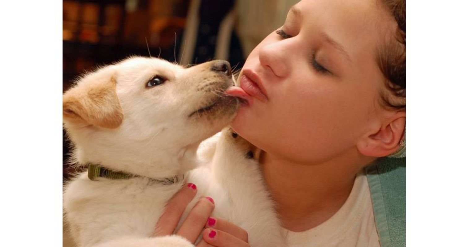 Do Dogs Really Kiss
