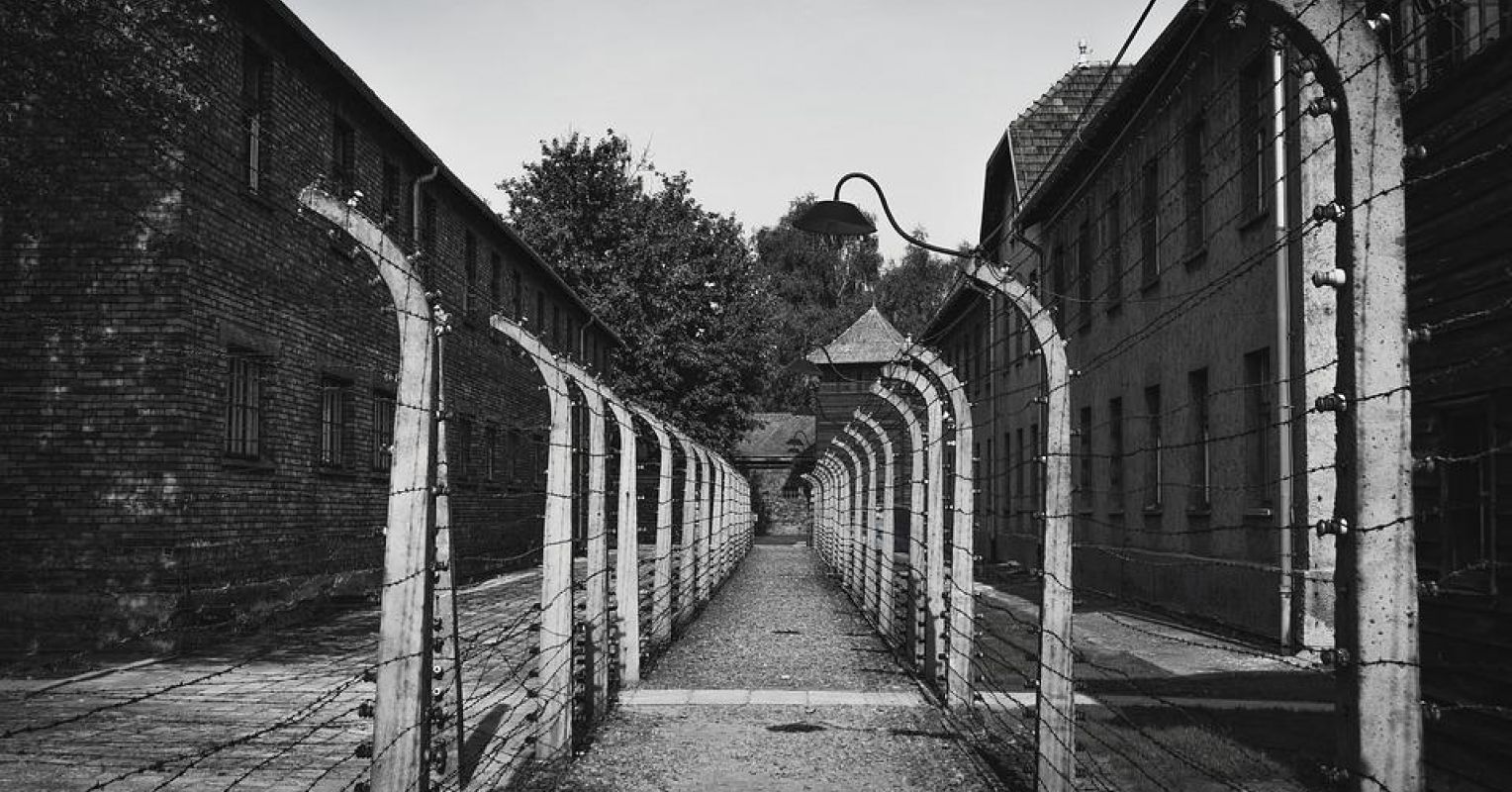 1528px x 800px - The Mystery of Lost Periods During the Holocaust | Psychology Today
