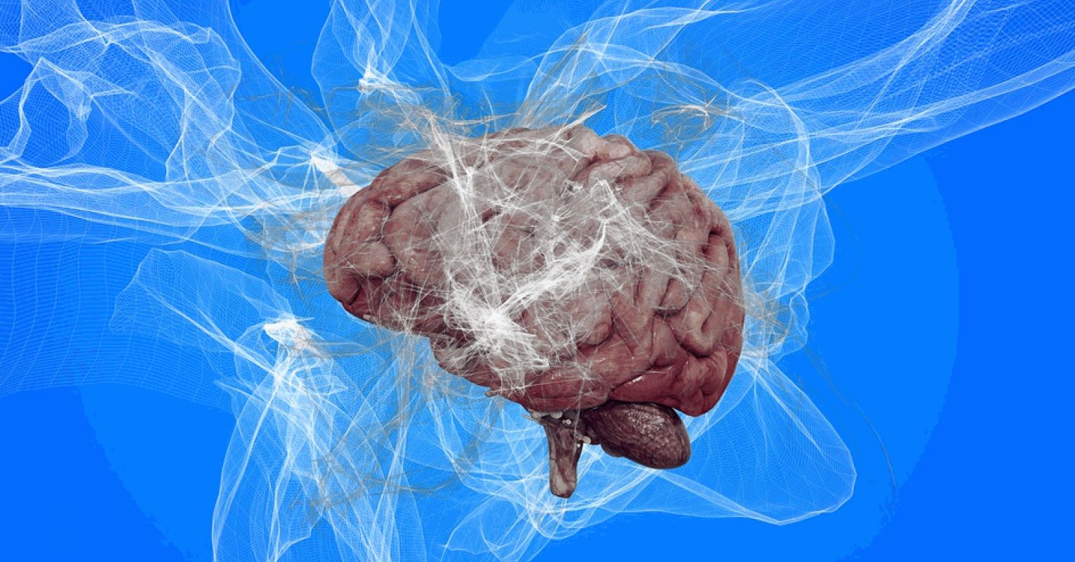 Novel AI Method for Neuroscience and Brain Disease Research