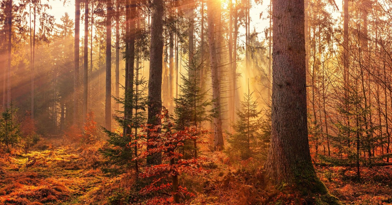 Learn More About CBTE Psychology Today