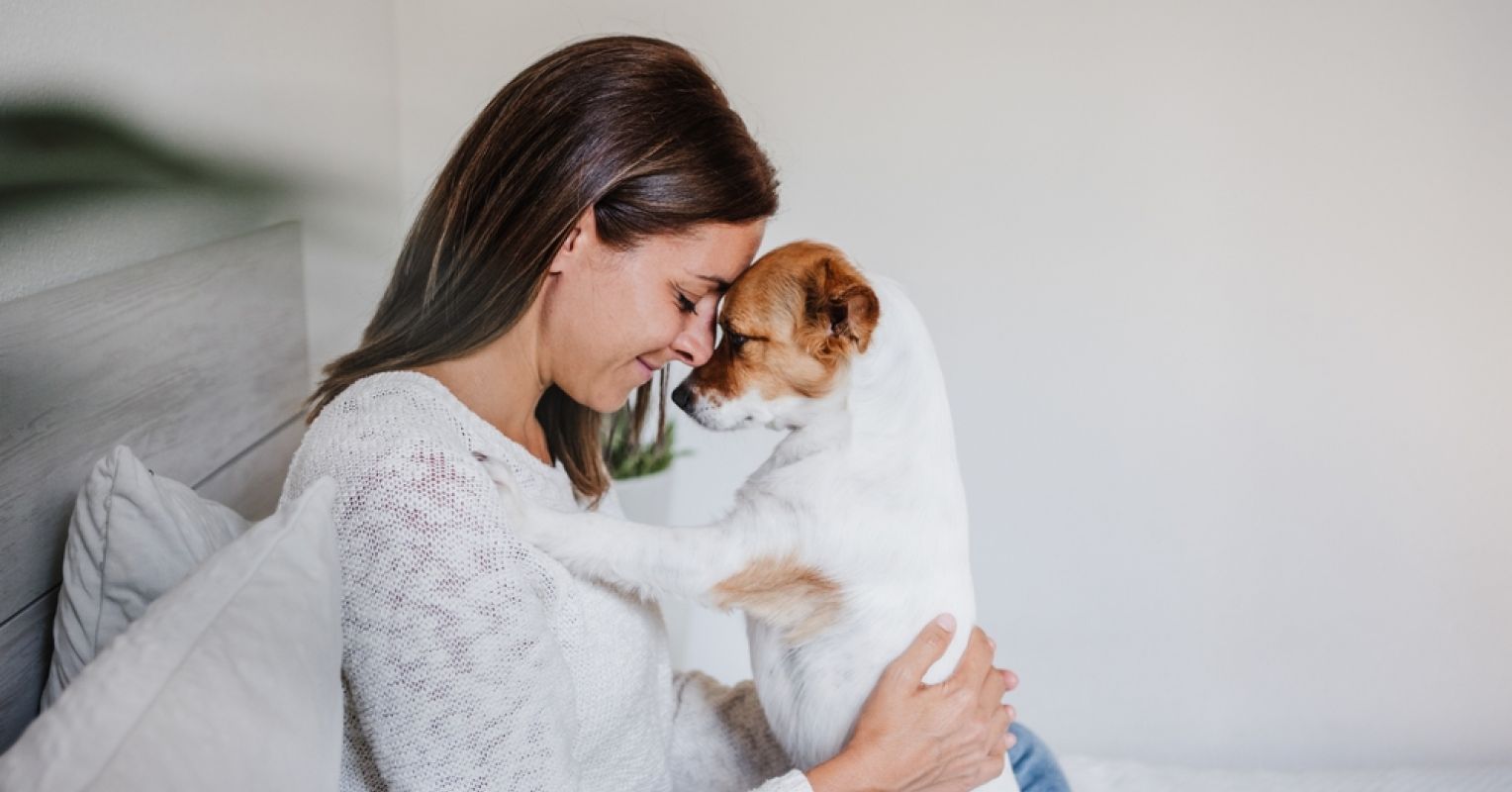 Cómo saber si tu perro sufre ansiedad: así puede tratarse