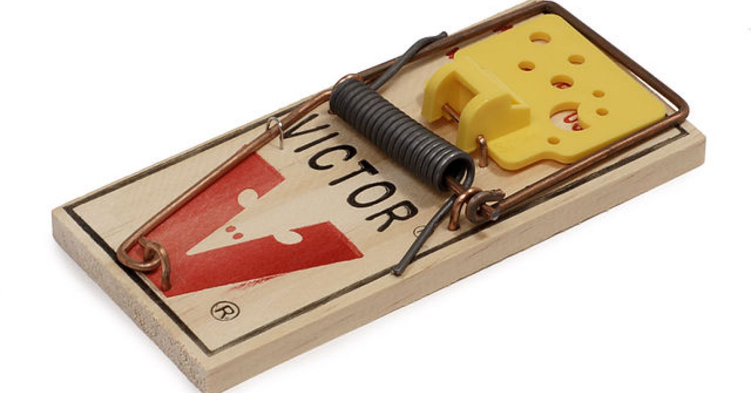 Why Mouse Traps Aren't Enough To Solve Your Problem
