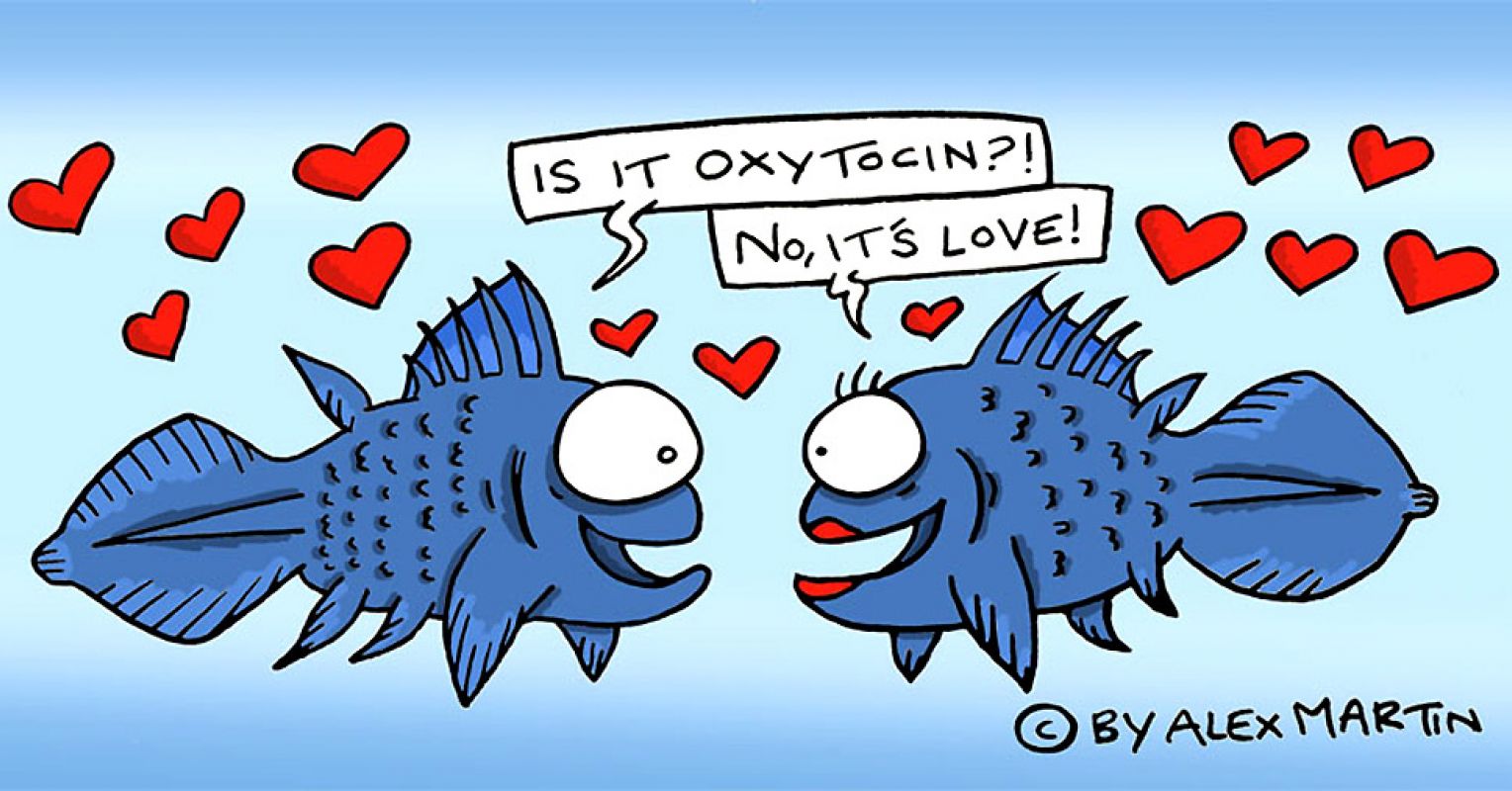 oxytocin hormone function