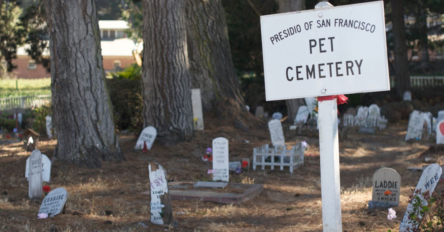 Rituals and Practices Surrounding Animal Death | Psychology Today
