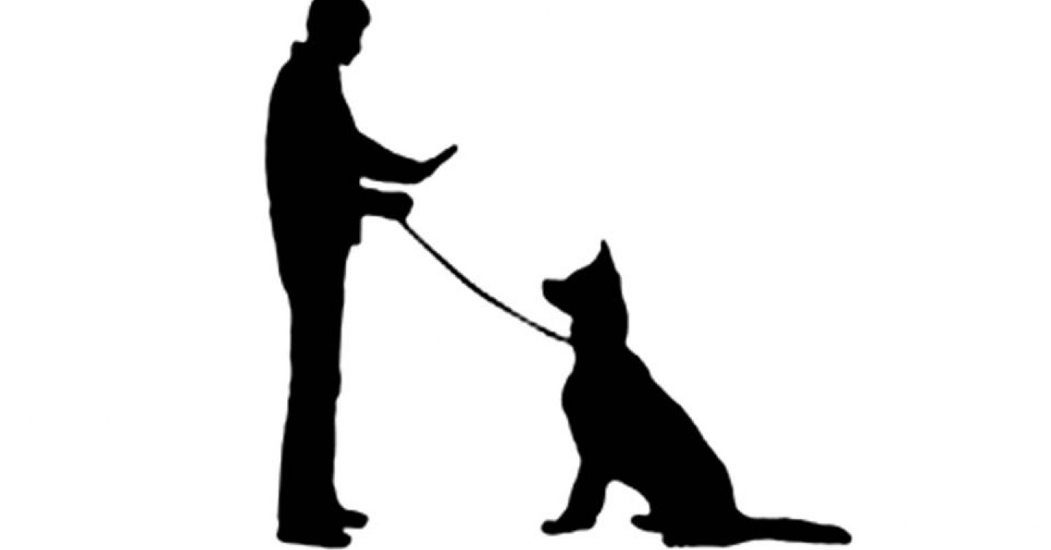 dog training commands hand signals