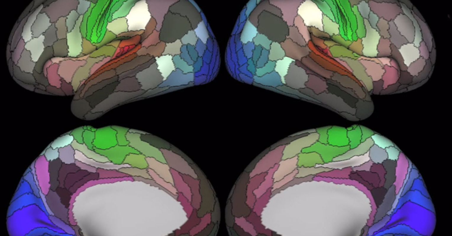 A Map of the Brain That Is Unlike Anything Seen Before | Psychology Today