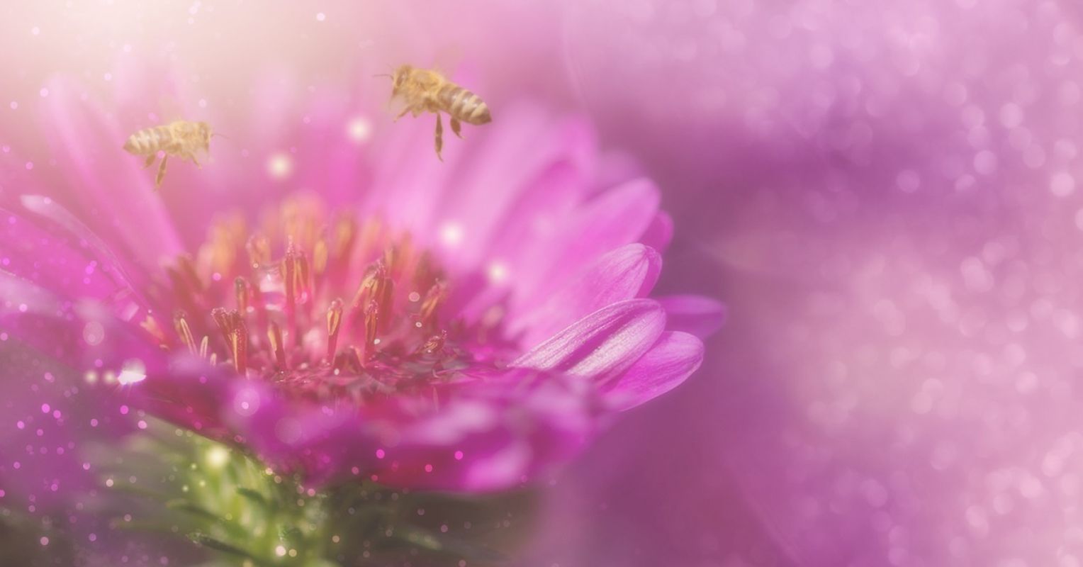 El rasgo que te hace más atractivo | Psychology Today en español