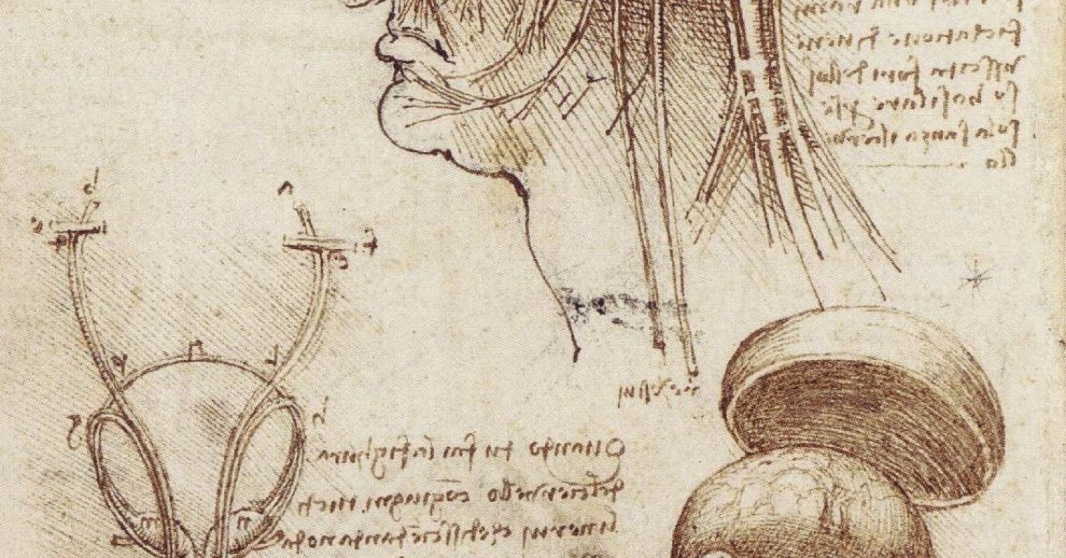 Леонардо да Винчи 1508