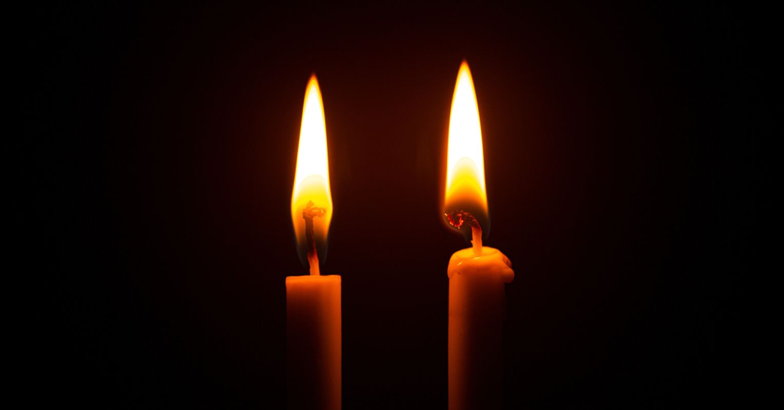 what-do-we-learn-from-the-twin-children-of-the-holocaust-psychology