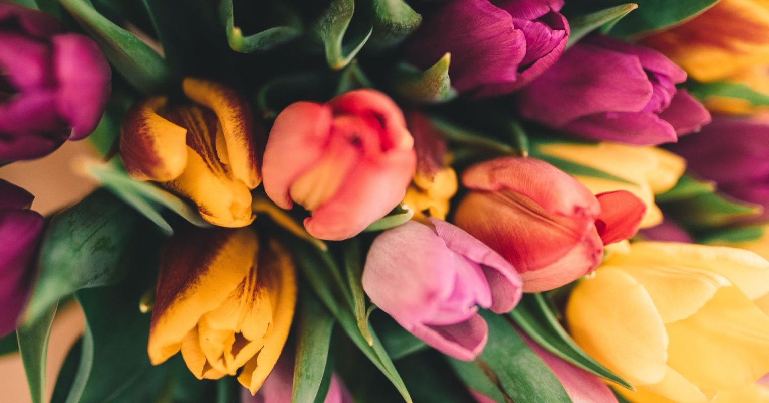 Spring Is the Time to Keep New Resolutions | Psychology Today