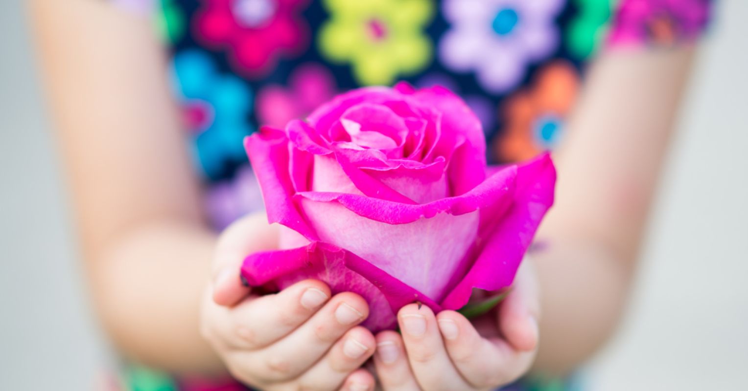 5 Insights About the Five Senses