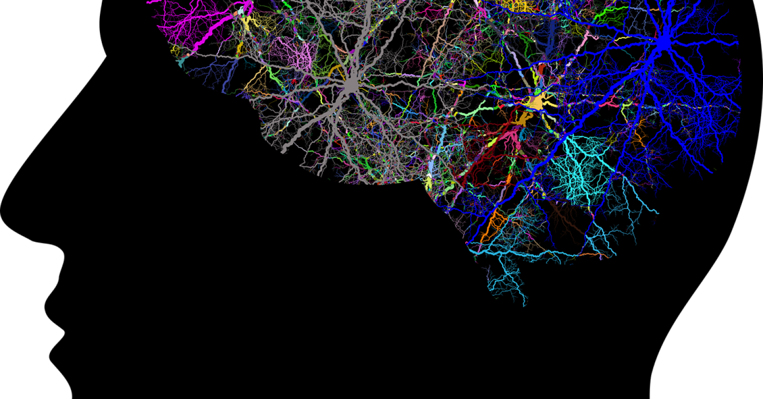 Does Anorexia Cause Cognitive Difficulties or Vice Versa? Psychology