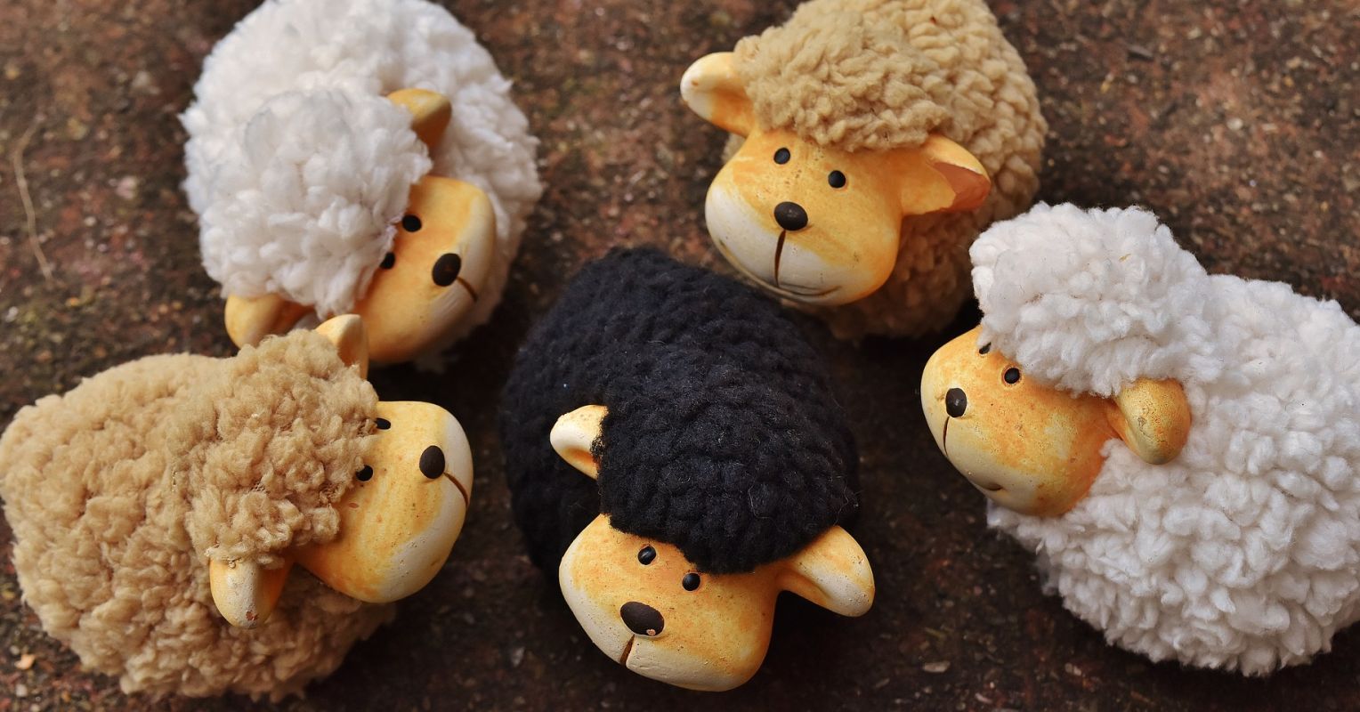 Are You the Family Black Sheep? Here's How to Deal | Psychology Today ...